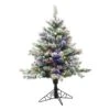 Vickerman Pre-Lit Artificial Christmas Tree (Includes On / Off Foot Switch) (373866) -Roman Shop 373866lg