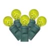 Vickerman Christmas Light String Set (390351) -Roman Shop 390351lg