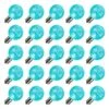 Vickerman Replacement LED Light Bulb (25 Pack) (398418) -Roman Shop 398418lg