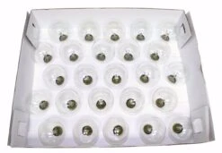 Sival Christmas Light String Set (40254) 8 Sival Christmas Light String Set (40254) -Roman Shop 40254Stringmd