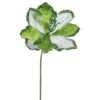 Vickerman Artificial Christmas Pick (3 Pack) (404225) -Roman Shop 404225lg