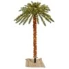 Vickerman Lighted Artificial Palm Tree (451618) -Roman Shop 451618lg