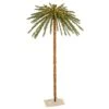 Vickerman Lighted Artificial Palm Tree (451663) -Roman Shop 451663lg