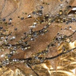 Vickerman Artificial Garland (640753) -Roman Shop 4607534md