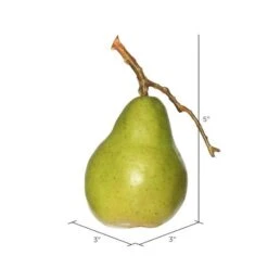 Vickerman Everyday Fruit (6 Pack) (461167) -Roman Shop 461167measuremd