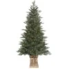 Vickerman Prelit Artificial Tree (500477) -Roman Shop 500477lg