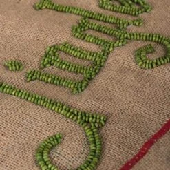 Vickerman Decorative Pillow (505892) -Roman Shop 505892closermd