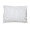Vickerman Decorative Pillow (506073) -Roman Shop 506073lg
