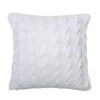 Vickerman Decorative Pillow (506097) -Roman Shop 506097lg