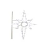 Vickerman Christmas Light (509074) -Roman Shop 509074lg
