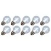 Vickerman Christmas Replacement Light Bulb (10 Pack) (511398) 1 Vickerman Christmas Replacement Light Bulb (10 Pack) (511398) -Roman Shop 511398lg