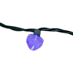 Kurt S. Adler Christmas LED Light String Set (51396) -Roman Shop 513964md