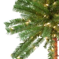Vickerman Lighted Artificial Palm Tree (517383) -Roman Shop 517383addmd