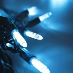 Vickerman LED Light String With 4" Spacing (520284) -Roman Shop 520284lightupmd