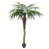 Vickerman Unlit Artificial Palm Tree (525647) 1 Vickerman Unlit Artificial Palm Tree (525647) -Roman Shop 525647lg