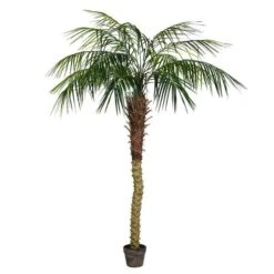 Vickerman Unlit Artificial Palm Tree (525647) 9 Vickerman Unlit Artificial Palm Tree (525647) -Roman Shop 525647md
