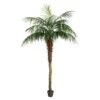 Vickerman Unlit Artificial Palm Tree (525654) 1 Vickerman Unlit Artificial Palm Tree (525654) -Roman Shop 525654lg
