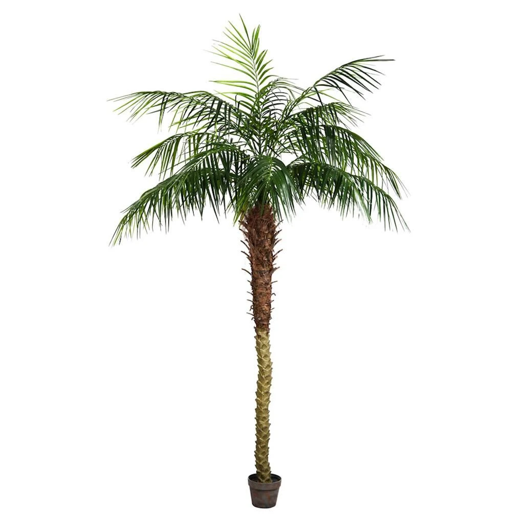 Vickerman Unlit Artificial Palm Tree (525654) 3 Vickerman Unlit Artificial Palm Tree (525654)
