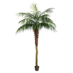 Vickerman Unlit Artificial Palm Tree (525654) 8 Vickerman Unlit Artificial Palm Tree (525654) -Roman Shop 525654md