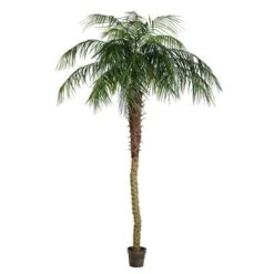 Vickerman Unlit Artificial Palm Tree (525661) -Roman Shop 525661md
