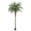 Vickerman Unlit Artificial Palm Tree (525678) -Roman Shop 525678lg