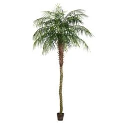 Vickerman Unlit Artificial Palm Tree (525678) 8 Vickerman Unlit Artificial Palm Tree (525678) -Roman Shop 525678md
