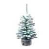 Vickerman Unlit Christmas Tree (3 Pack) (551035) -Roman Shop 551035lg