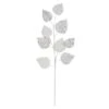 Vickerman Spray (3 Pack) (551943) -Roman Shop 551943lg