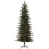 Vickerman Prelit Artificial Christmas Tree (559246) -Roman Shop 559161lg 2