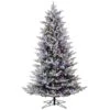 Vickerman Prelit Artificial Christmas Tree (562598) -Roman Shop 562536lg 2