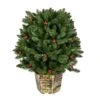 Vickerman Unlit Artificial Christmas Bush (627631) 1 Vickerman Unlit Artificial Christmas Bush (627631) -Roman Shop 627631lg