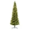 Vickerman Prelit Artificial Christmas Tree (628478) -Roman Shop 628478lg