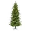 Vickerman Prelit Artificial Christmas Tree (628591) -Roman Shop 628591lg 1