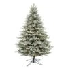 Vickerman Prelit Artificial Christmas Tree (633373) -Roman Shop 633212lg