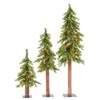 Vickerman Prelit Artificial Christmas Tree Set (645673) -Roman Shop 645673lg