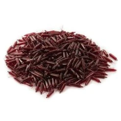 Vickerman Incandescent Mini Replacement Bulbs (500 Pack) (646687) -Roman Shop 646502pilemd