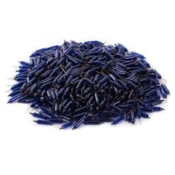 Vickerman Incandescent Mini Replacement Bulbs (500 Pack) (646496) -Roman Shop 646670pilemd 2