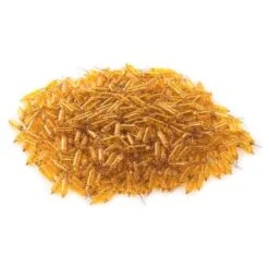 Vickerman Incandescent Mini Replacement Bulbs (500 Pack) (646717) -Roman Shop 646717pilemd 1