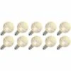 Vickerman LED Light Bulb (10 Pack) (646793) -Roman Shop 646793blg