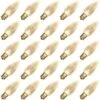 Vickerman LED Light Bulb (25 Pack) (647219) -Roman Shop 647219md