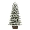 Vickerman Artificial Christmas Tree (657645) -Roman Shop 657645lg