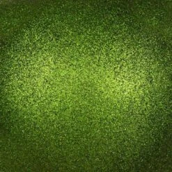 Vickerman Christmas Ornament (12 Pack) (660751) -Roman Shop 660751texmd