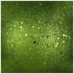 Vickerman Christmas Ornament (661062) -Roman Shop 661062texmd