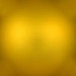 Vickerman Christmas Ornament (661420) -Roman Shop 661413texmd 1