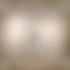 Vickerman Christmas Ornament (662557) -Roman Shop 662557texmd