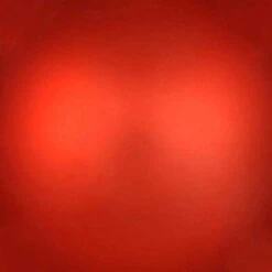 Vickerman Christmas Ornament (12 Pack) (662724) -Roman Shop 662724texmd