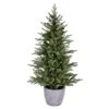 Vickerman Artificial Artificial Christmas Tree (664155) -Roman Shop 664131lg 1
