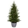 Vickerman Artificial Artificial Christmas Tree (664162) 2 Vickerman Artificial Artificial Christmas Tree (664162) -Roman Shop 664162lg