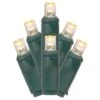 Vickerman LED String Light Set With 4" Spacing (665572) -Roman Shop 665572lg