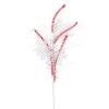 Vickerman Christmas Decoration (6 Pack) (665701) -Roman Shop 665701lg